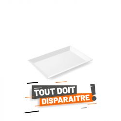 Lot de 6 Plats glacière 19x29cm blanc