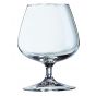 Verre à cognac 25 cl Degustation (12p.)