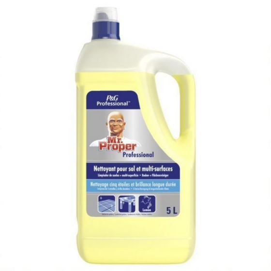 Nettoyant multi-surfaces 5 l Mr Propre (5 pièces)