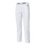 Pantalon homme blanc taille 38 Premium Molinel