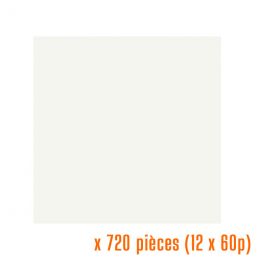 Serviettes blanches 40x40 cm non tissé 55g/m² (12x60p.)