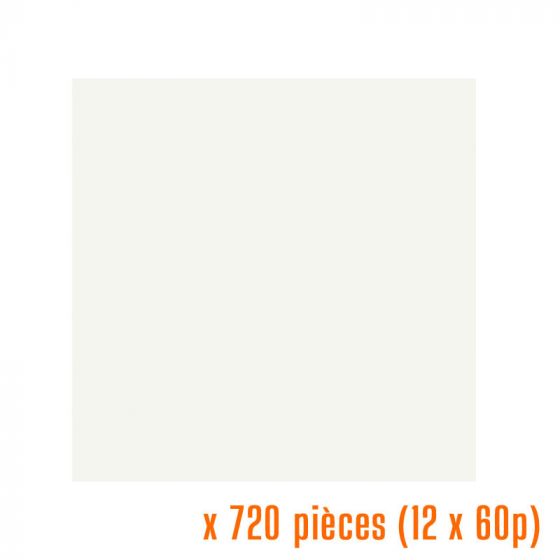 Serviettes blanches 40x40 cm non tissé 55g/m² (12x60p.)